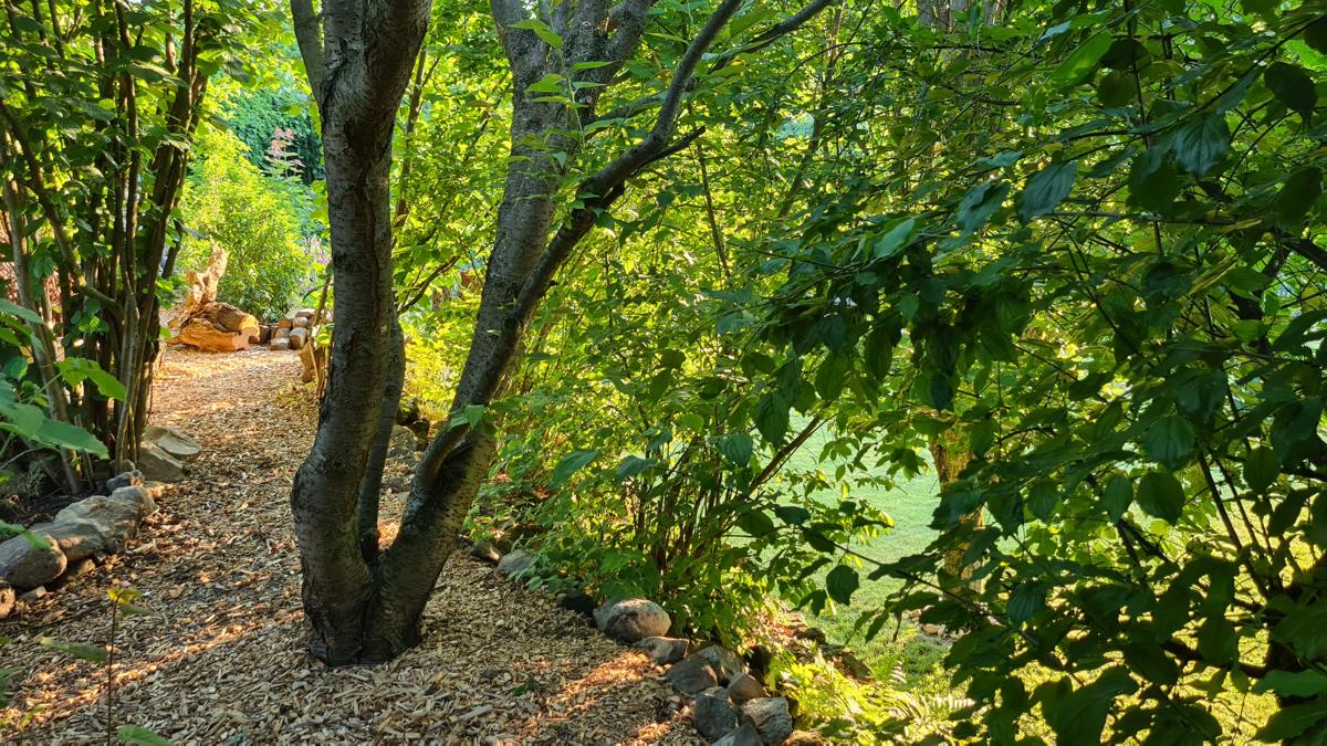 Garten
